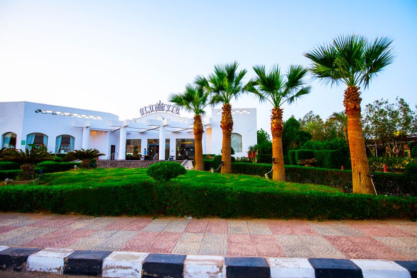OLD VIC SHARM RESORT - 4