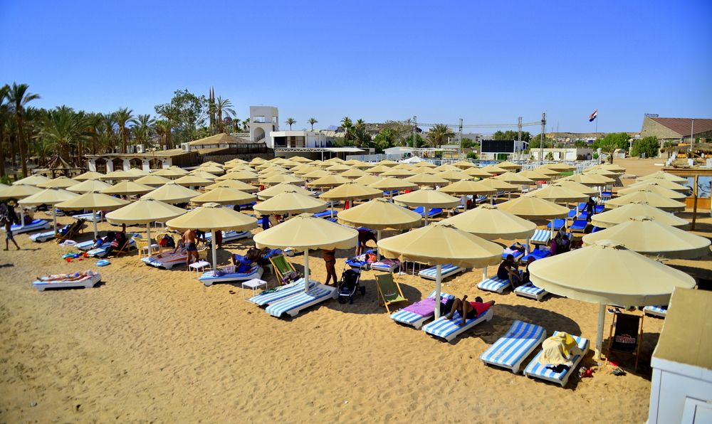 Картинка отеля - 86