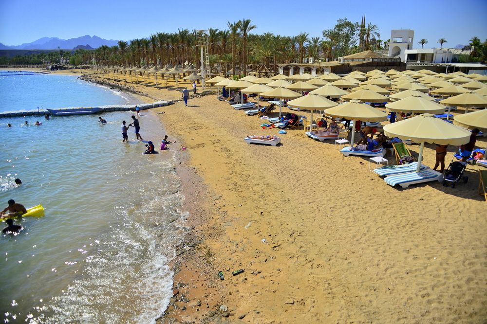 Картинка отеля - 83