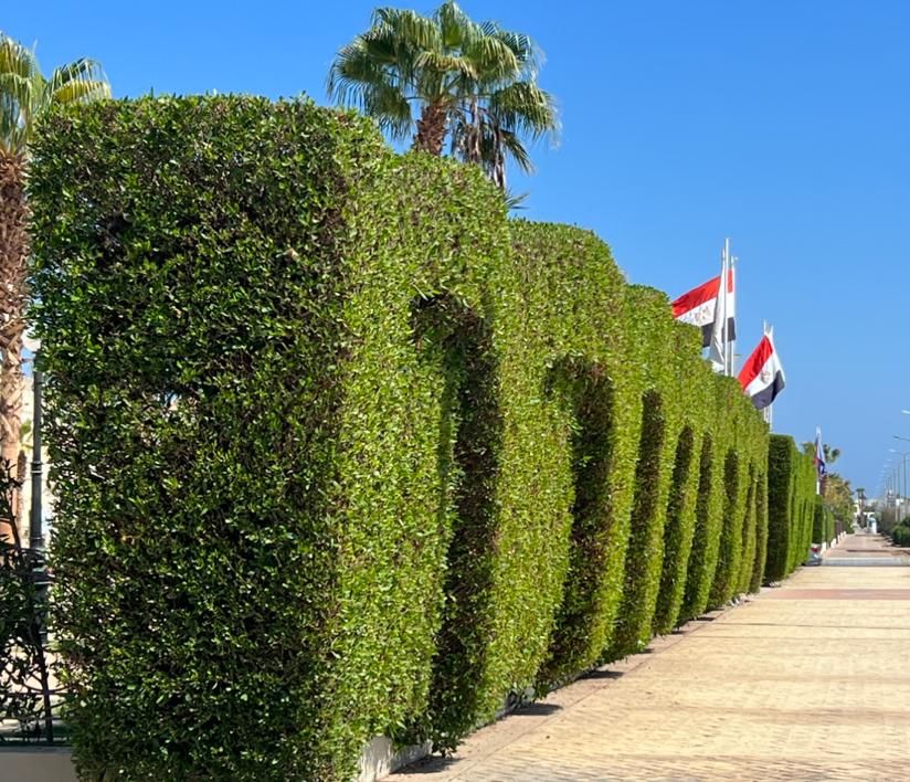 Картинка отеля - 17