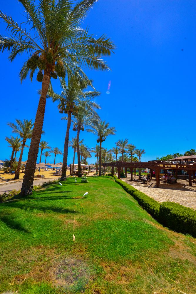 QUEEN SHARM RESORT - 2