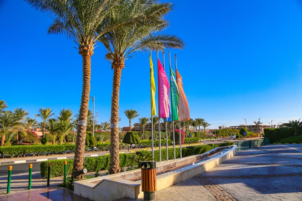 Картинка отеля - 11