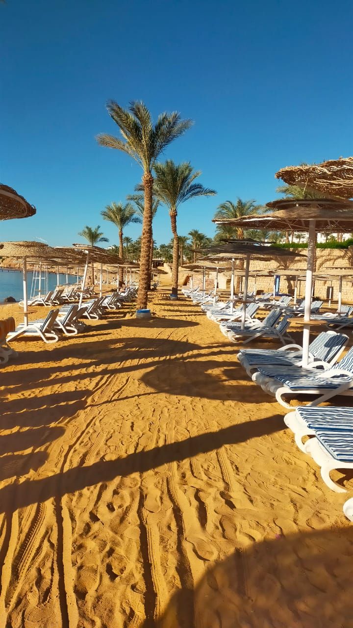 Картинка отеля - 11