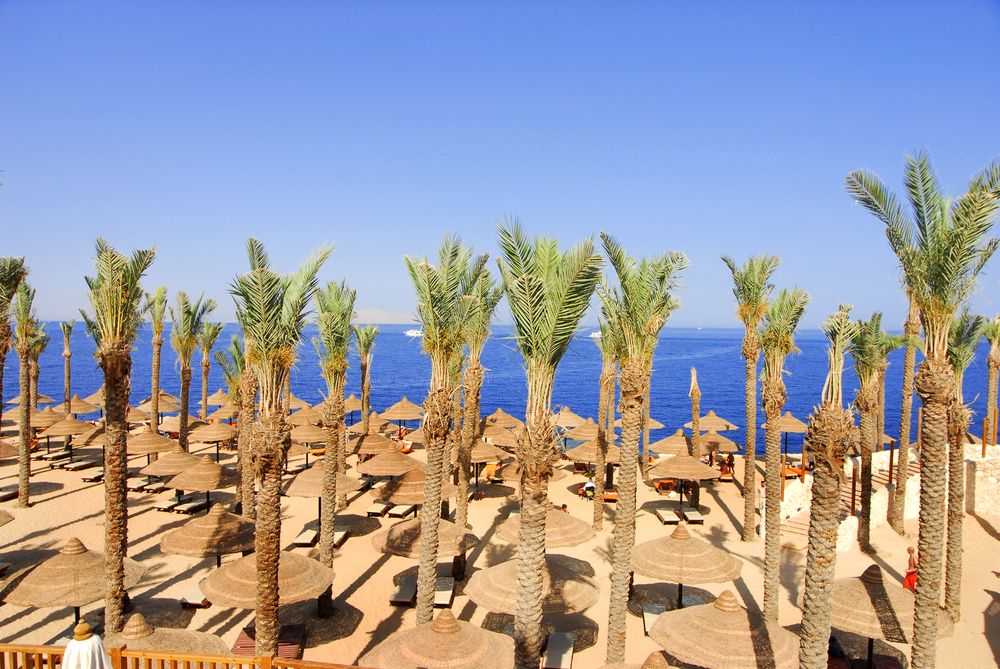 GRAND HOTEL SHARM - 41