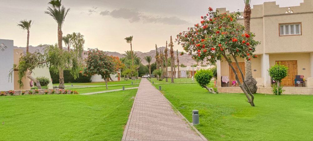 DAHAB LAGOON CLUB AND RESORT - 8