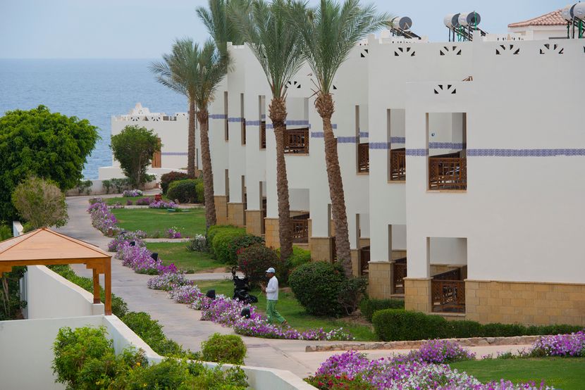 AMPHORAS BLU (only adults 16+) - 2