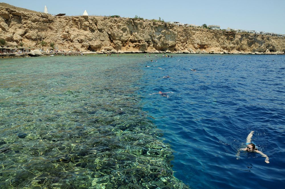 DREAMS BEACH RESORT - 55