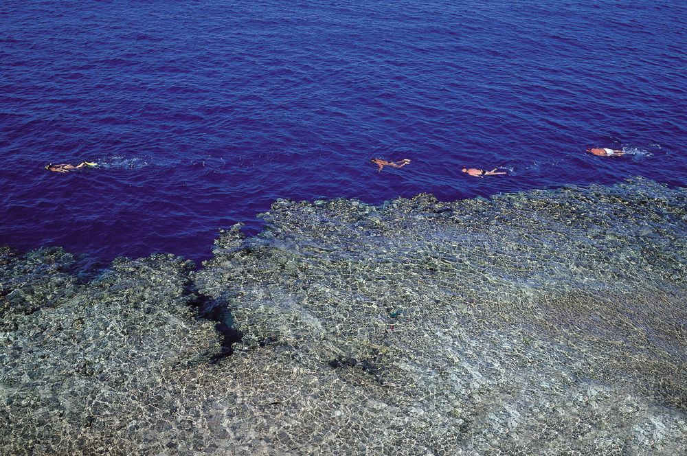 Картинка отеля - 54