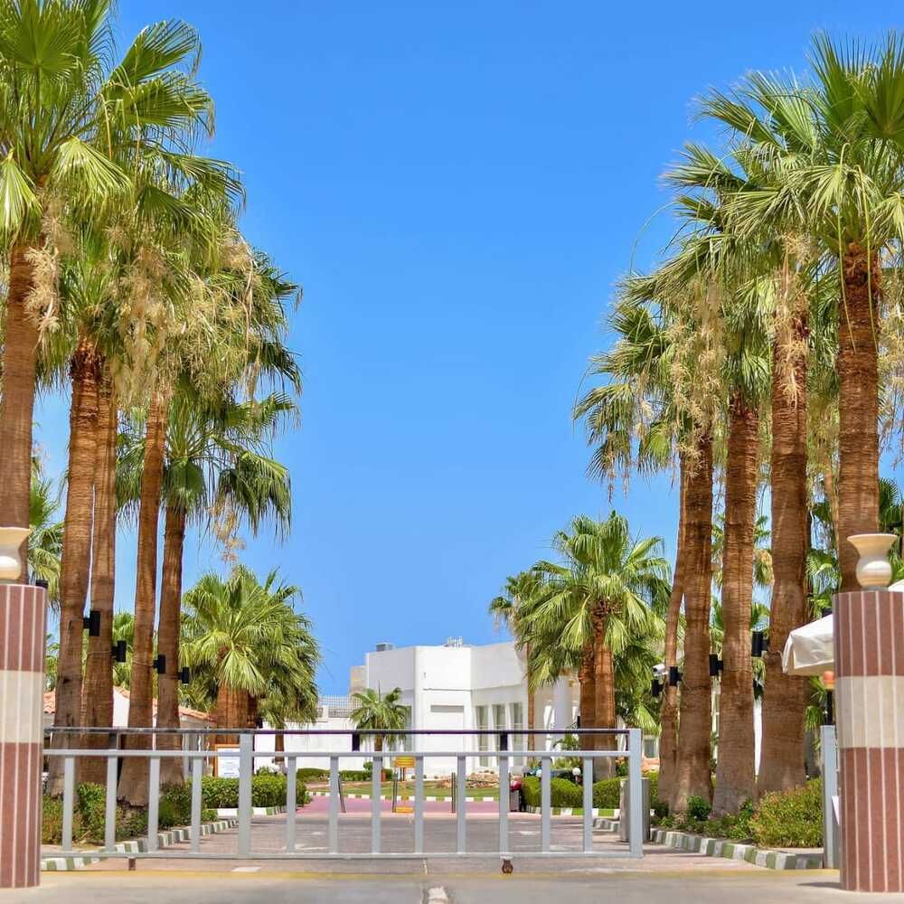 SAFIR SHARM WATERFALLS - 4