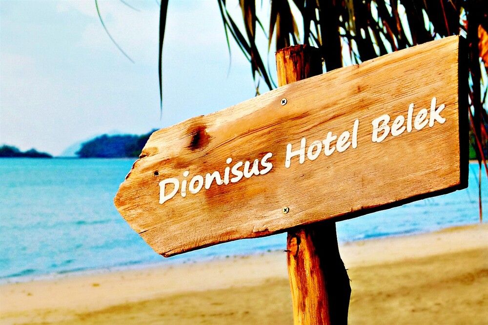 Dionisus Hotel & Spa - 8