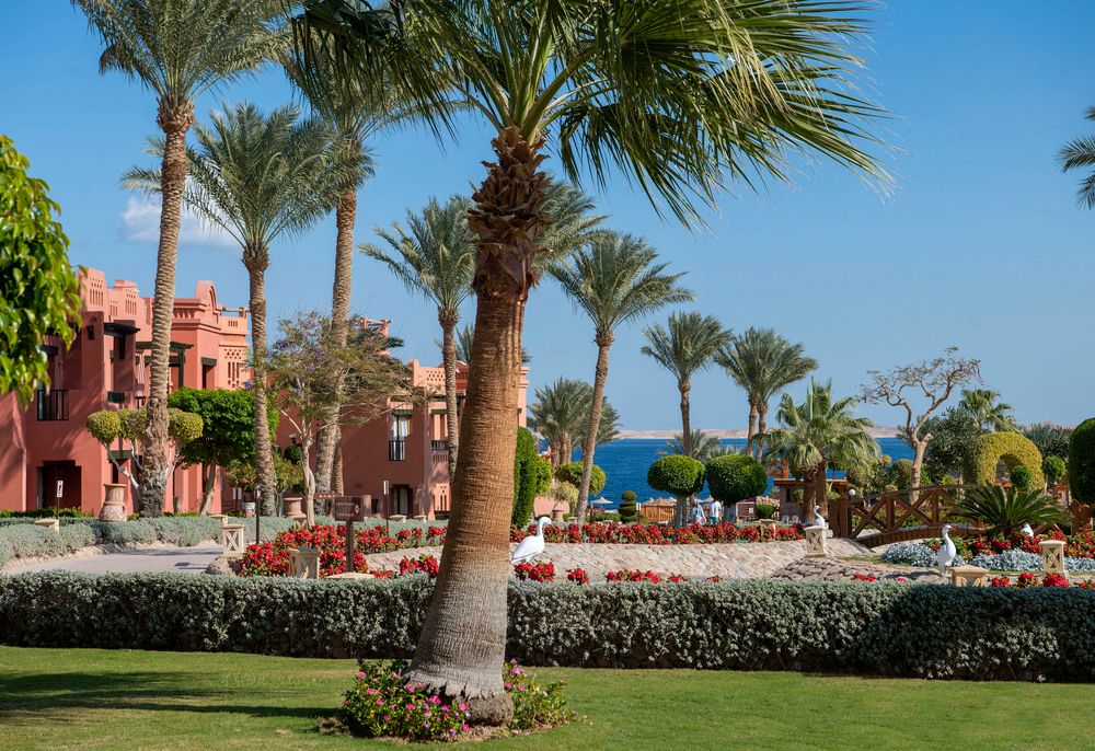 Картинка отеля - 6