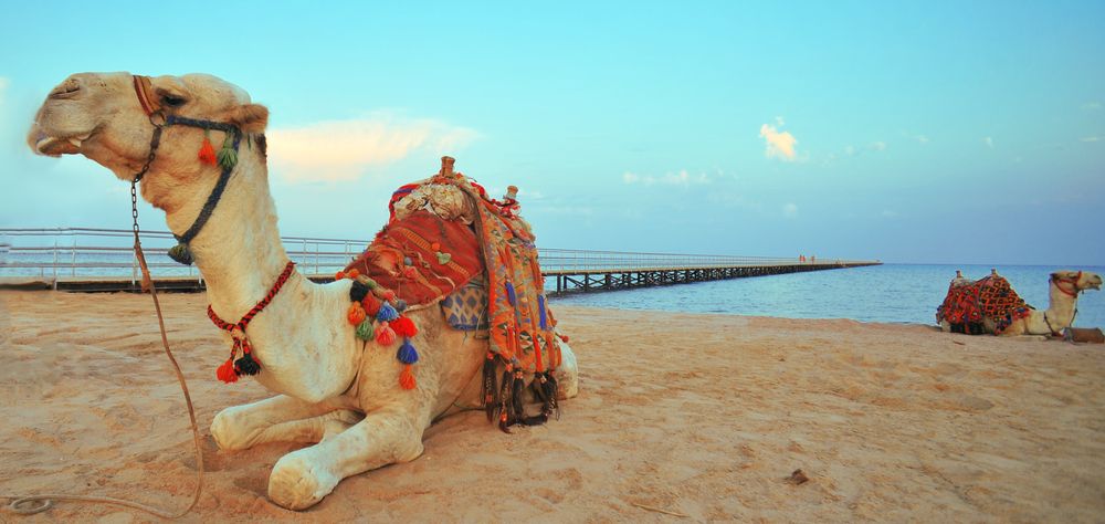 EDGE BY ROTANA SEA BEACH (ex. SEA BEACH RESORT & AQUA PARK) - 25