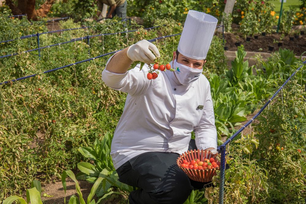 SHARM CLUB BEACH RESORT - 15