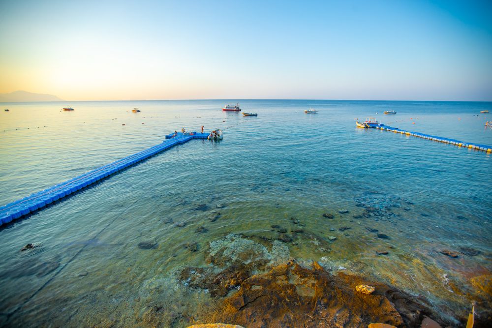 DOUBLETREE BY HILTON SHARKS BAY - 24