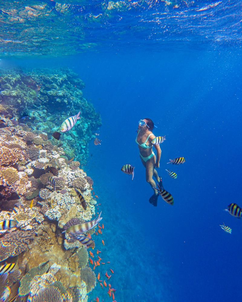 TAMRA BEACH RESORT - 17