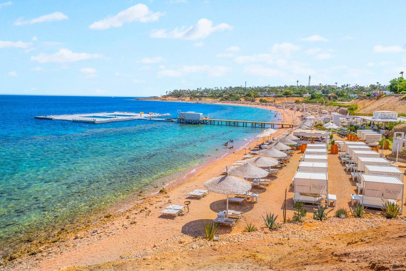 DOMINA CORAL BAY HAREM DELUXE - 6