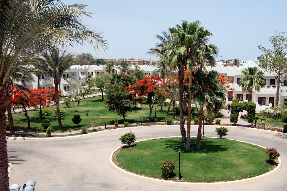 Картинка отеля - 29