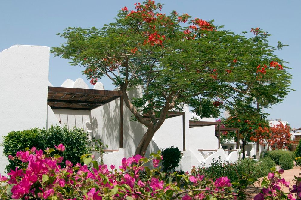 Картинка отеля - 28