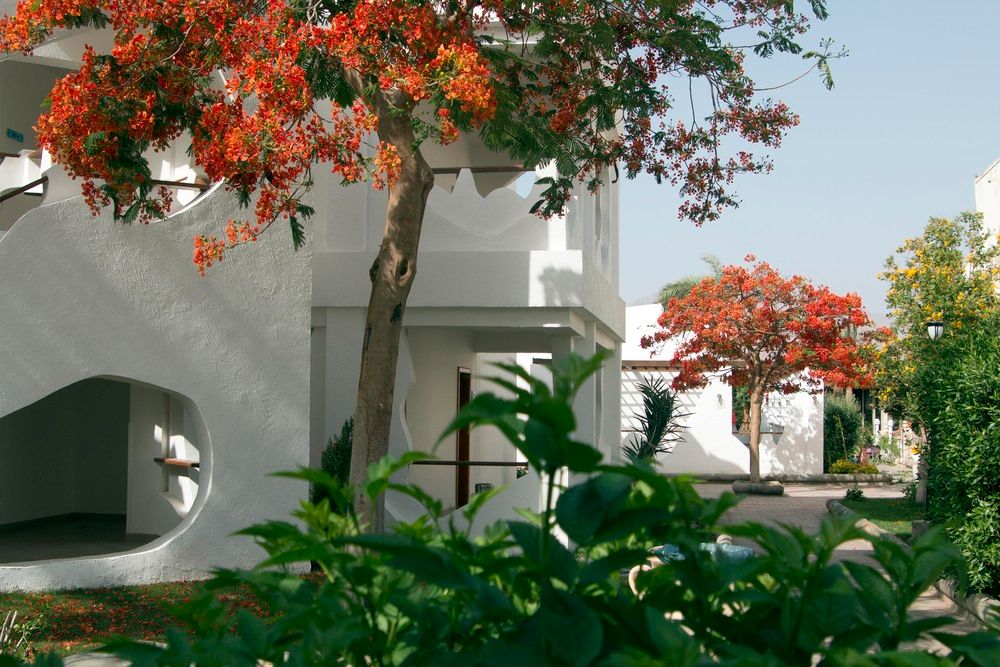 SWISS INN RESORT DAHAB - 24