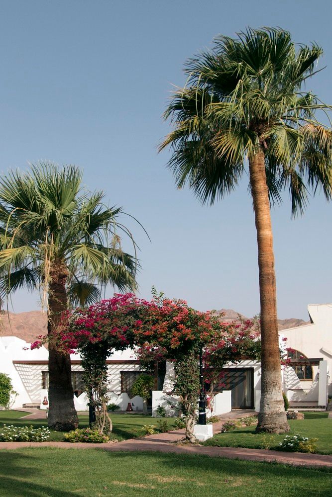 SWISS INN RESORT DAHAB - 32