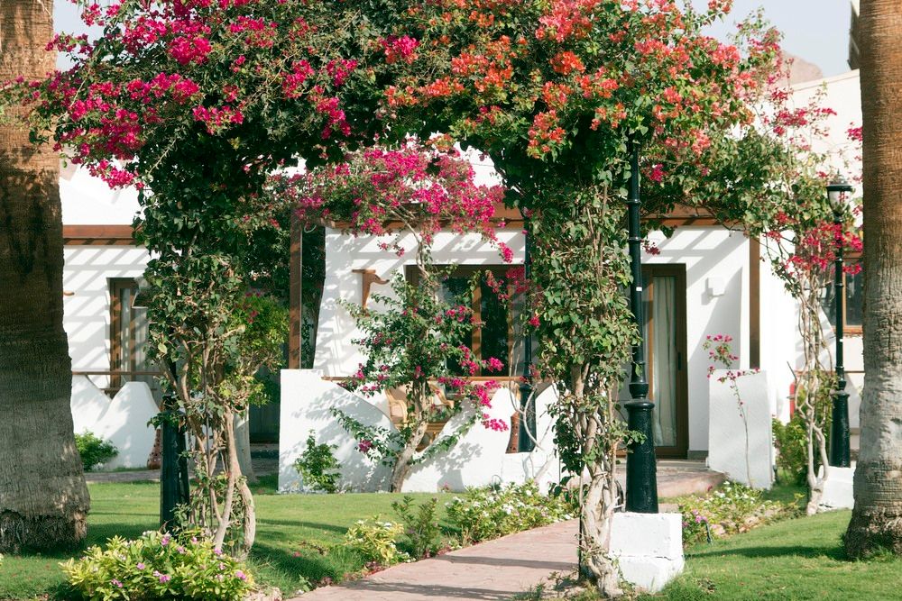 Картинка отеля - 23