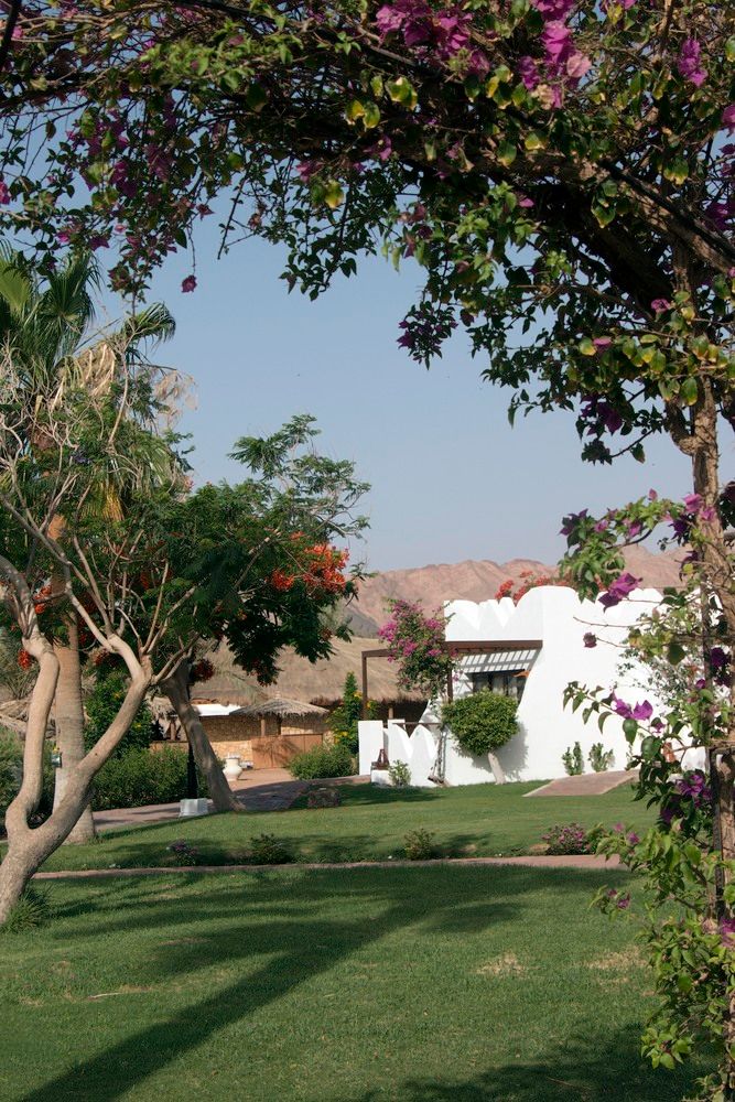 SWISS INN RESORT DAHAB - 26