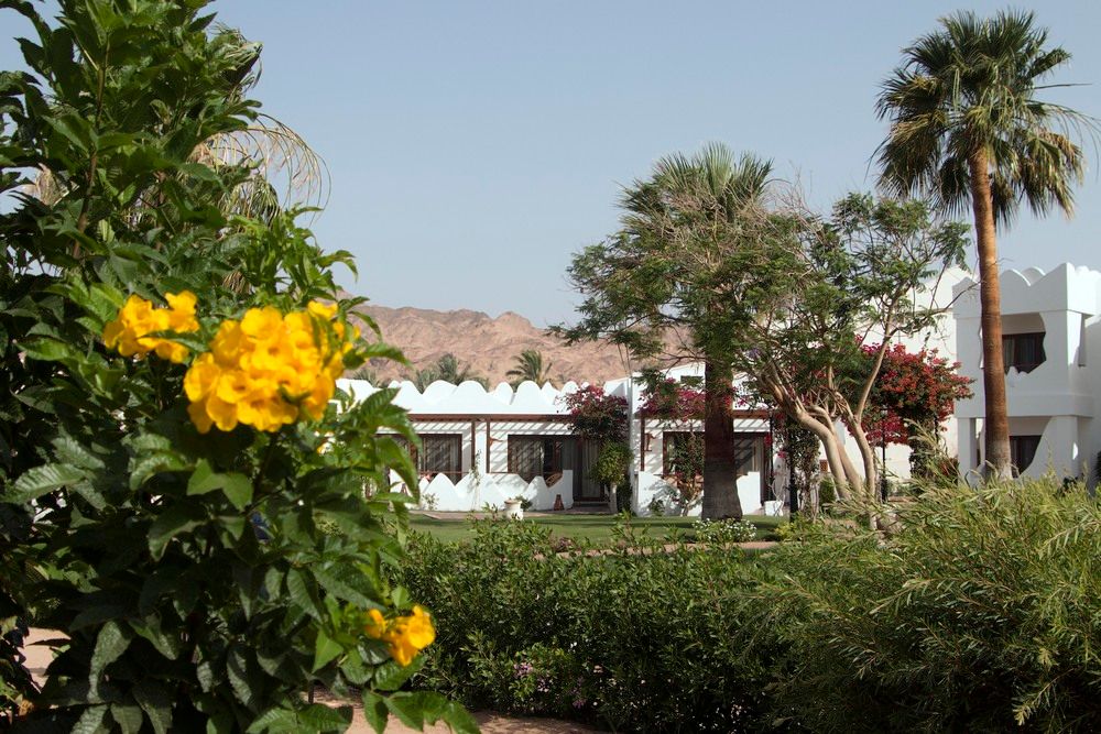 SWISS INN RESORT DAHAB - 25