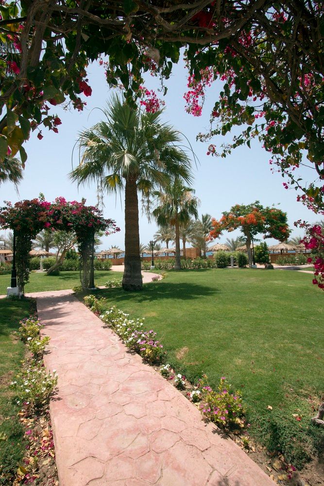 SWISS INN RESORT DAHAB - 18