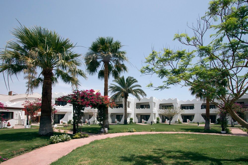 SWISS INN RESORT DAHAB - 16