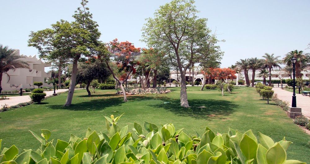 SWISS INN RESORT DAHAB - 13