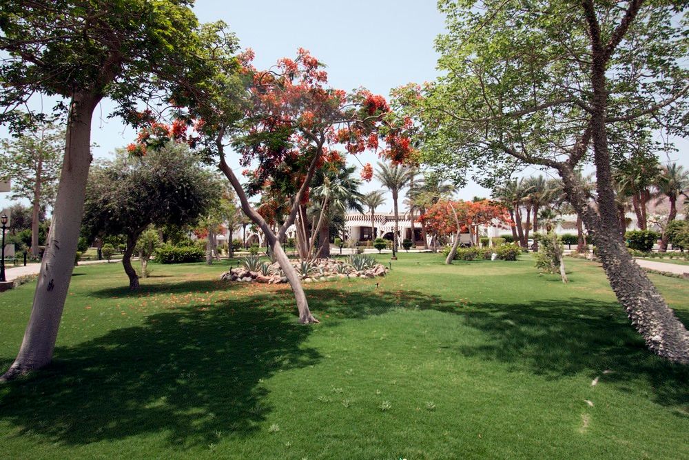 SWISS INN RESORT DAHAB - 14