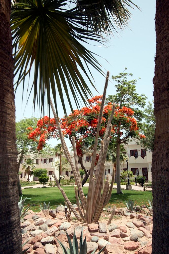 Картинка отеля - 17