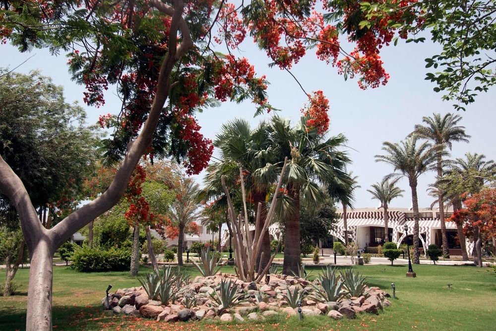 SWISS INN RESORT DAHAB - 10