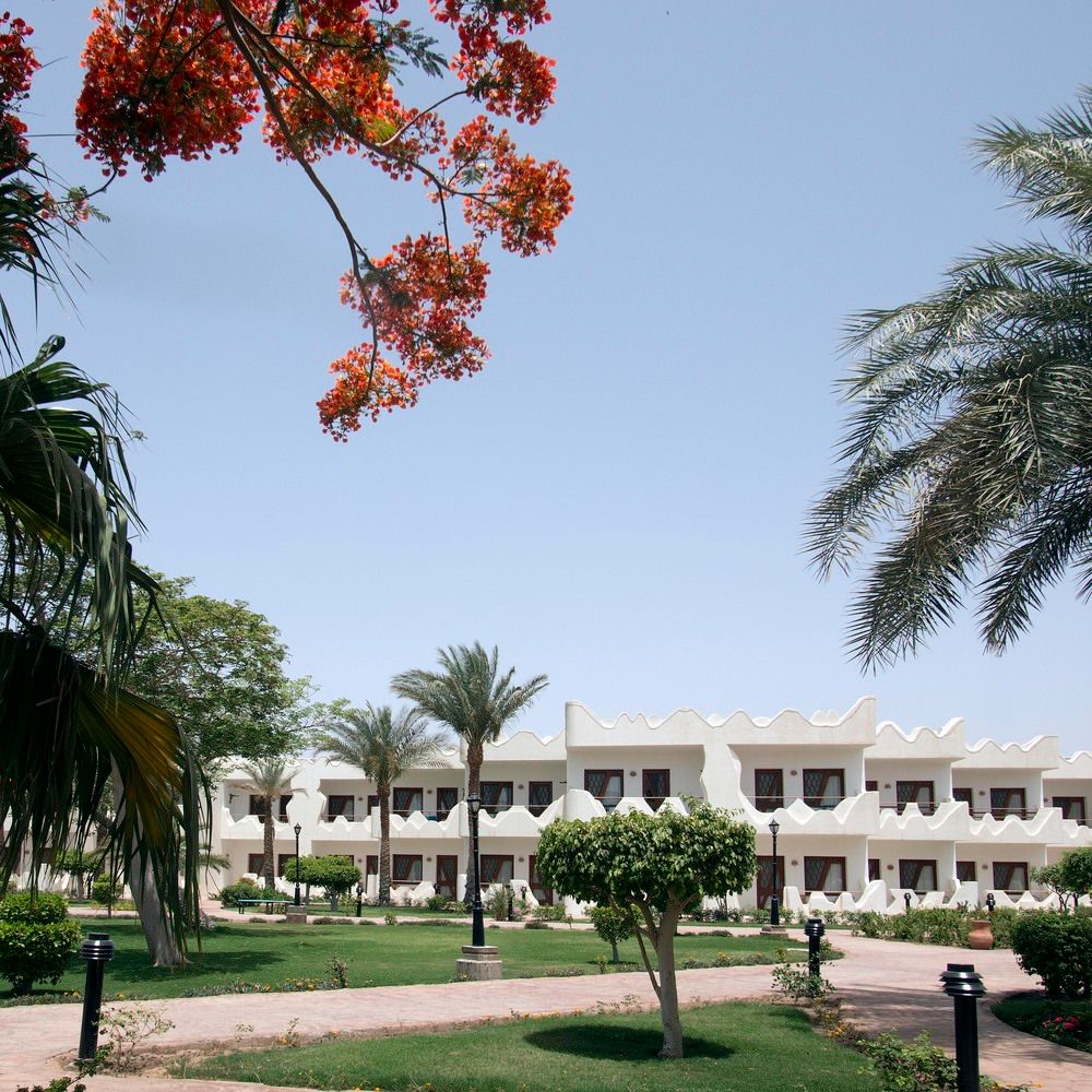 SWISS INN RESORT DAHAB - 9