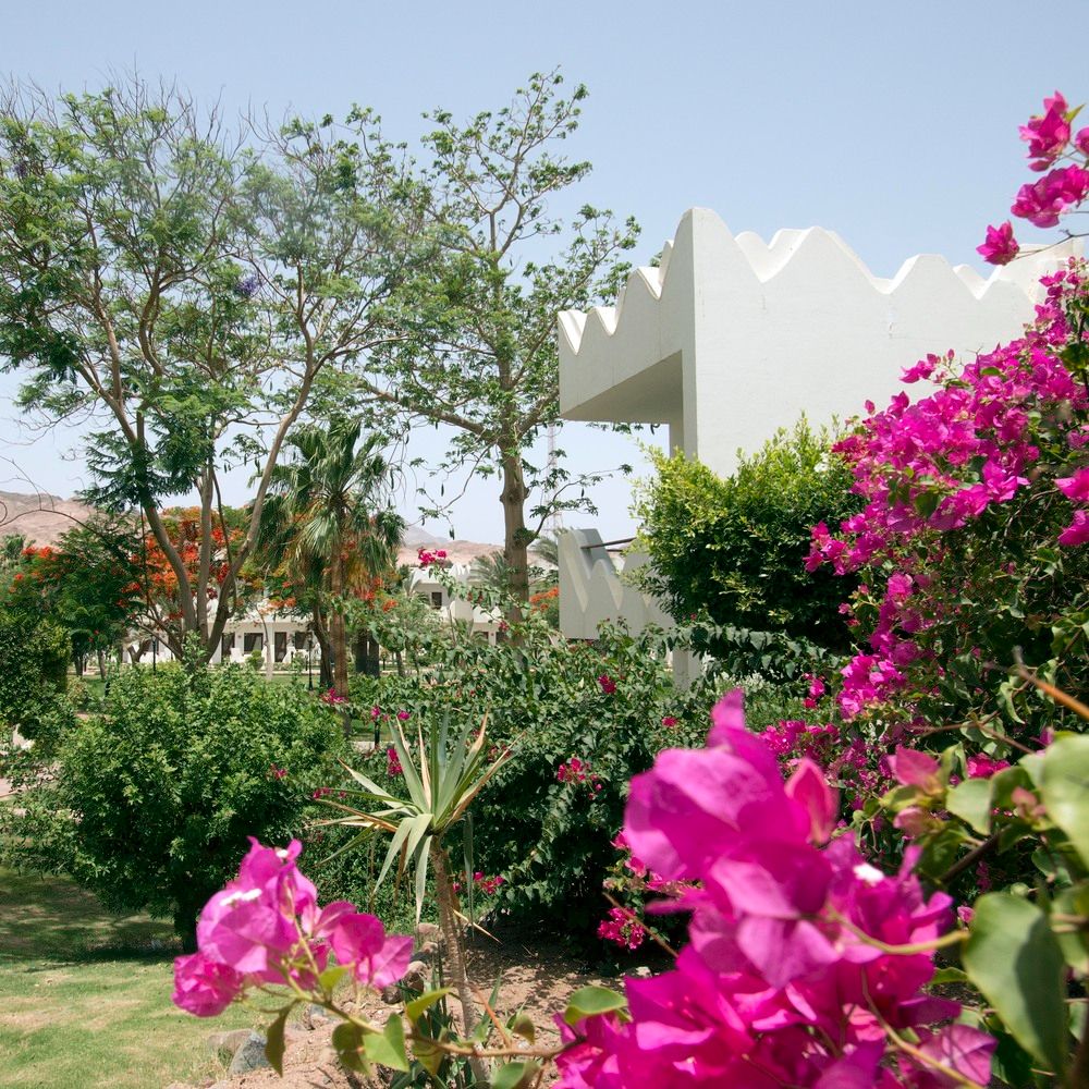 SWISS INN RESORT DAHAB - 20