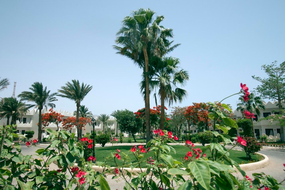 SWISS INN RESORT DAHAB - 12