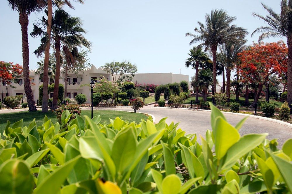 SWISS INN RESORT DAHAB - 15