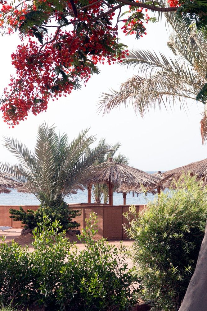 SWISS INN RESORT DAHAB - 19