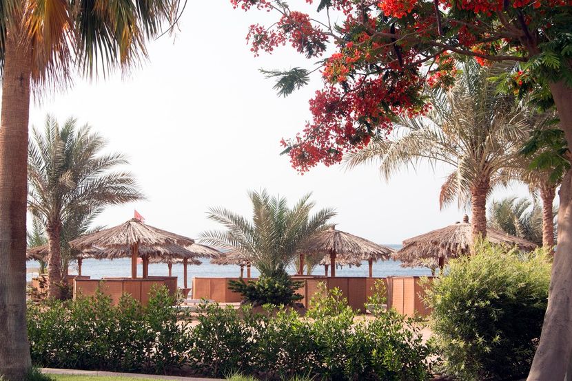 SWISS INN RESORT DAHAB - 5