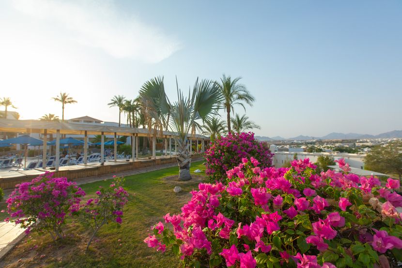 NAAMA BAY HOTEL & RESORT - 4