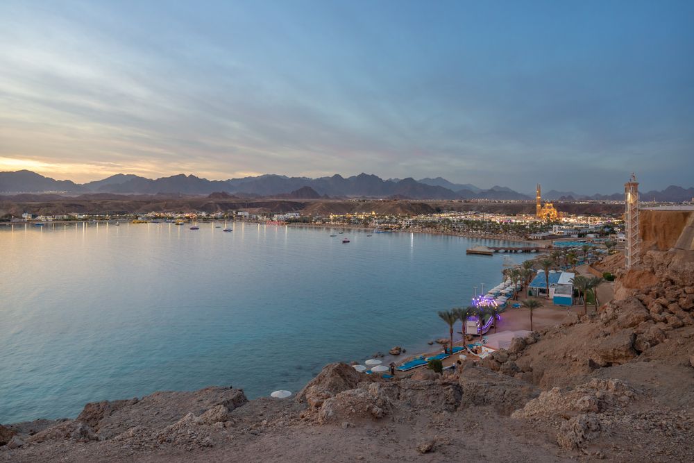 ALBATROS SHARM RESORT (ex. BEACH ALBATROS RESORT) - 8