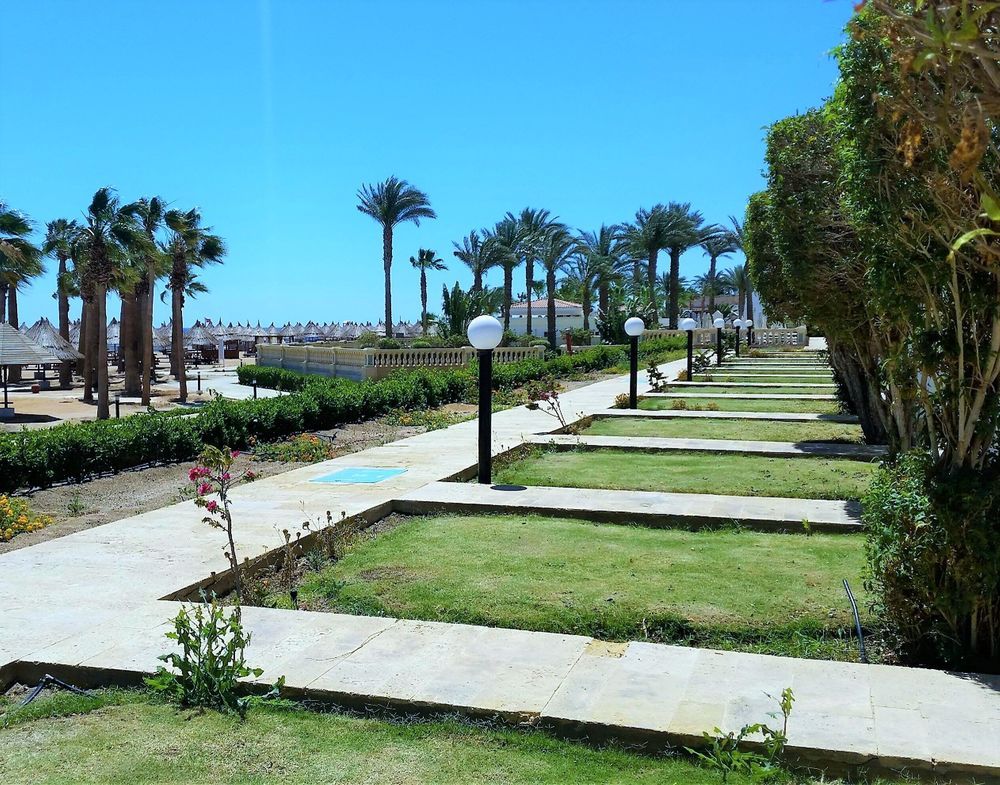 SHERATON SHARM HOTEL, RESORT, VILLAS & SPA - 7