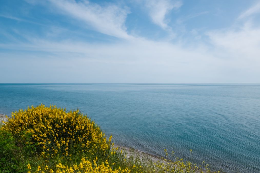 Картинка отеля - 27