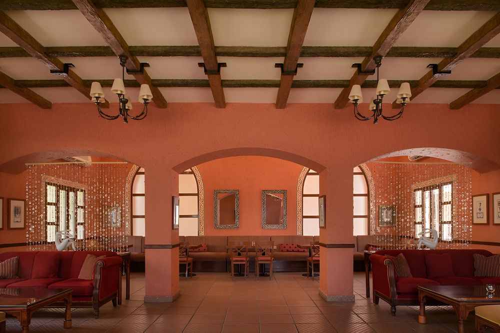 MAGIC LIFE REDSINA - 31