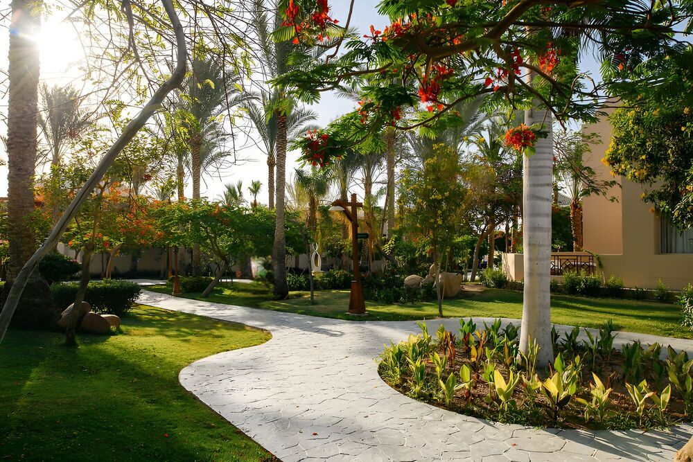 Картинка отеля - 9