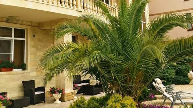 ОРХИДЕЯ, гостевой дом - 5