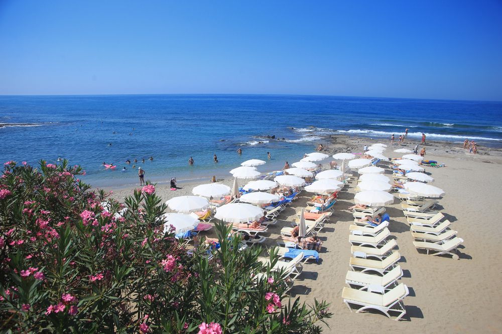 Simply Fine Hotel Alize - 7