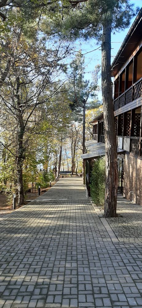 Картинка отеля - 8