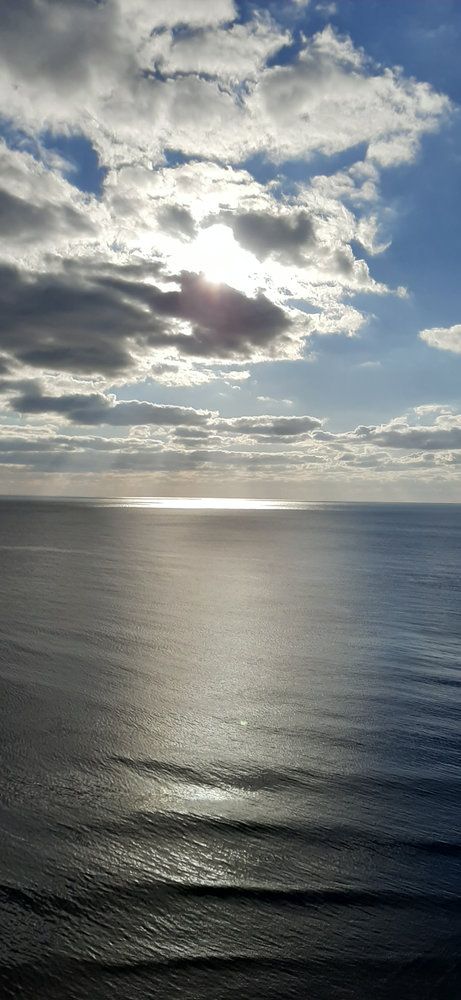 GREEN WOOD, отель - 7