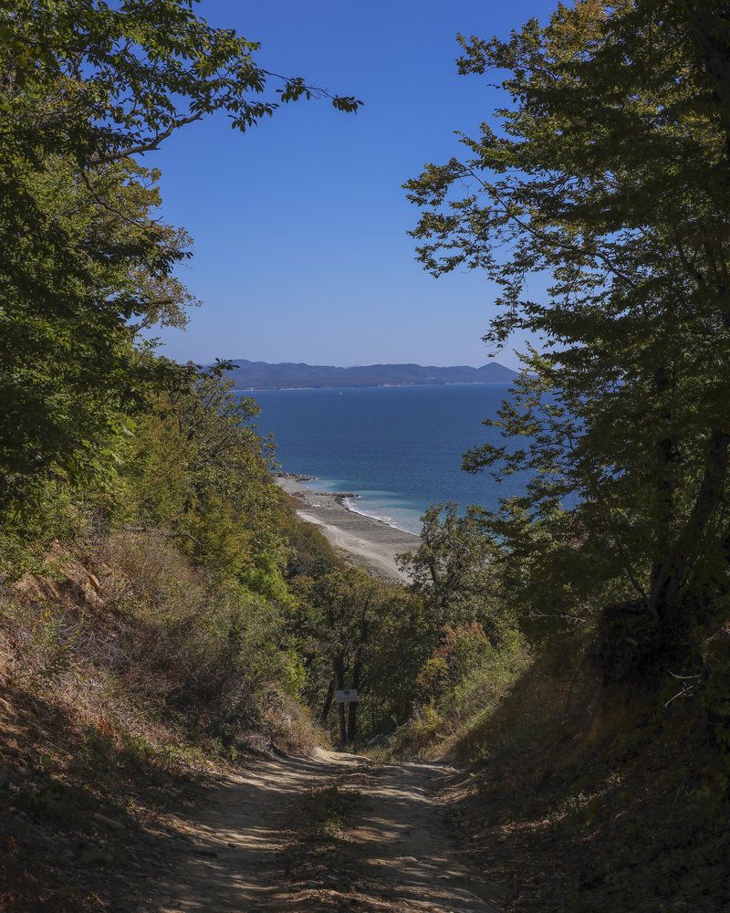 GREEN WOOD, отель - 5